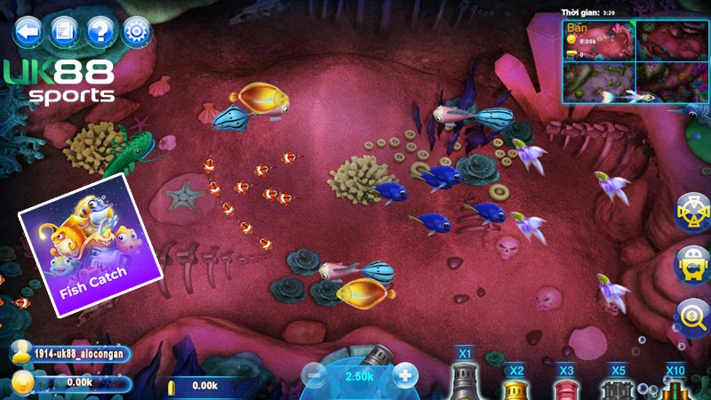 Chiến thuật Fish Cat bắn cá đơn săn tiền an toàn Chiến thuật Fish Catch bắn cá đơn săn tiền an toàn